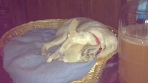 [Hearth.com] This is what happens...