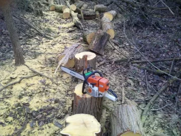 [Hearth.com] Load of Hedge (Osage)