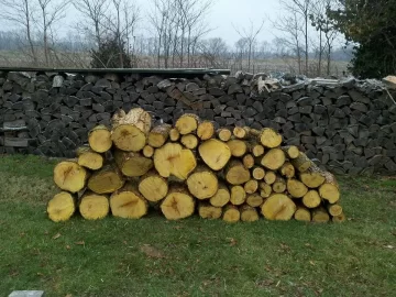 [Hearth.com] Load of Hedge (Osage)