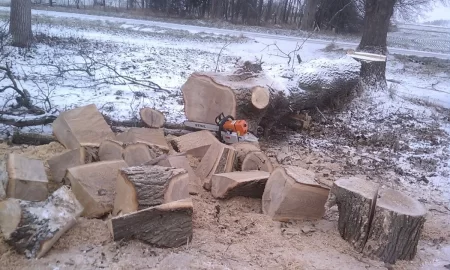 [Hearth.com] This site motivated me this morning w/pics