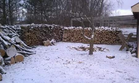 [Hearth.com] This site motivated me this morning w/pics