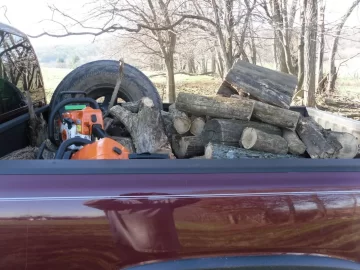 [Hearth.com] Black Locust Today, Cherry Tomorrow