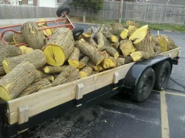 [Hearth.com] Load of Hedge (Osage)