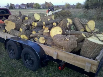 [Hearth.com] Load of Hedge (Osage)