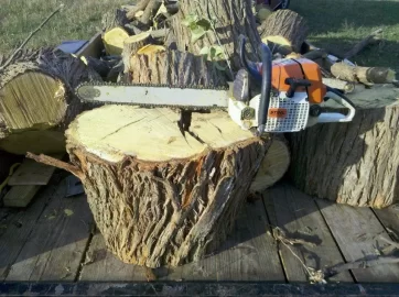 [Hearth.com] Load of Hedge (Osage)