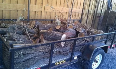 [Hearth.com] sat morning scrounge - russian olive?