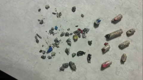 [Hearth.com] Strange items found in pellet bags!