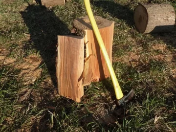 [Hearth.com] Black Locust Score Today