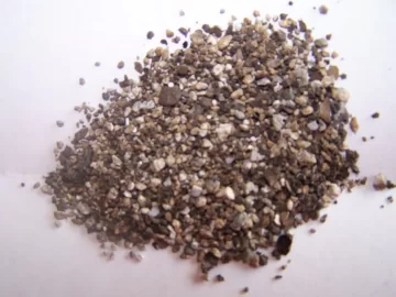[Hearth.com] Sand in my chow