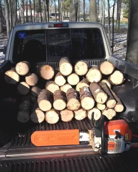 [Hearth.com] Nice day today .. small ash deadfalls