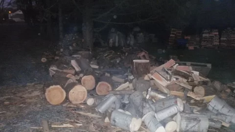[Hearth.com] scrounged woodpile pics