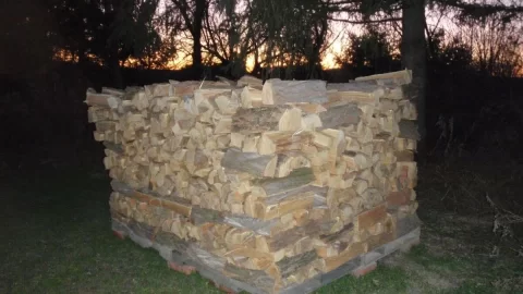 [Hearth.com] scrounged woodpile pics