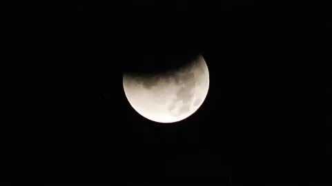 [Hearth.com] Anyone see the total lunar eclipse?