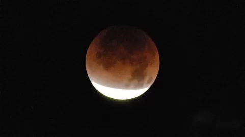[Hearth.com] Anyone see the total lunar eclipse?