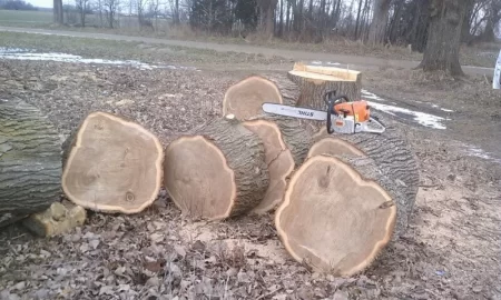 [Hearth.com] Filled trailer with 7 chunks of oak
