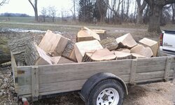 Filled trailer with 7 chunks of oak