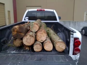 [Hearth.com] Got some wood! saddly it's green...