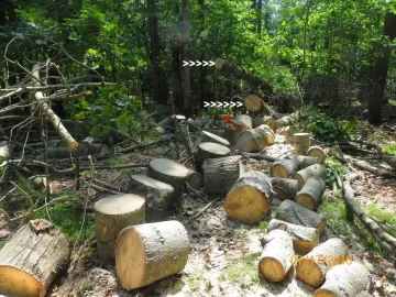 [Hearth.com] Shoulder Season Wood
