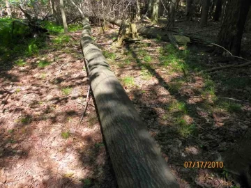 [Hearth.com] Shoulder Season Wood