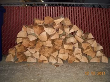 [Hearth.com] Doorbell Rings Scrounge! Tree ID (PICS)