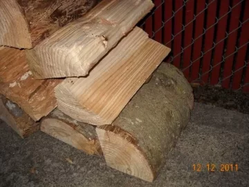 [Hearth.com] Doorbell Rings Scrounge! Tree ID (PICS)