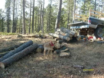 [Hearth.com] The Last Load of the Year