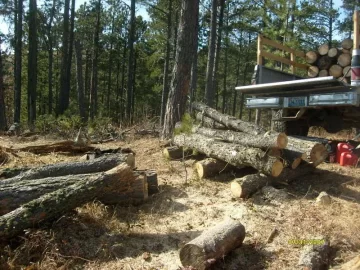[Hearth.com] The Last Load of the Year