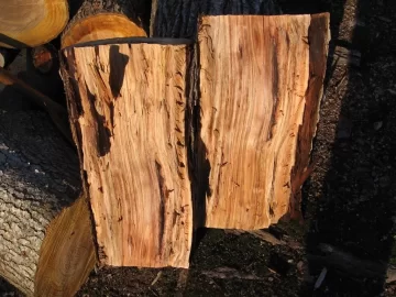 [Hearth.com] last wood ID... for tonight