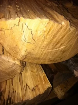 [Hearth.com] these are photos of the scrounge I am trying to ID