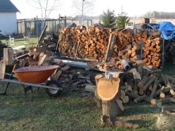 [Hearth.com] been scroungin around