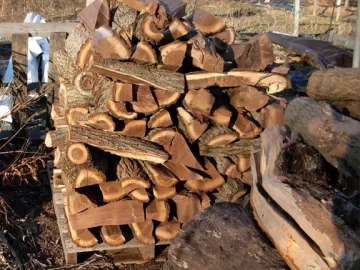 [Hearth.com] been scroungin around