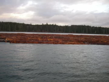 [Hearth.com] North Island Log Tow