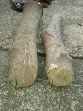 [Hearth.com] Wood ID please!