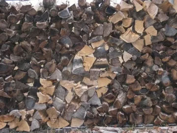 [Hearth.com] Wood Stack Pics and Tree ID App