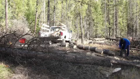 [Hearth.com] The Last Load of the Year
