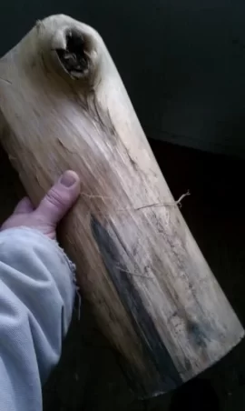 [Hearth.com] distinct smelling wood id