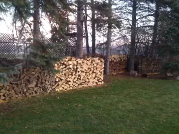 [Hearth.com] Wood Stack Pics and Tree ID App