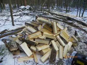 [Hearth.com] Bigtooth Aspen