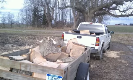 [Hearth.com] Bucking large rounds with small saw....