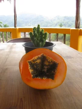 [Hearth.com] Greetings from the land of no stoves