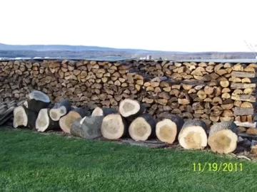 [Hearth.com] I told santa to bring me an x25 and an x27!