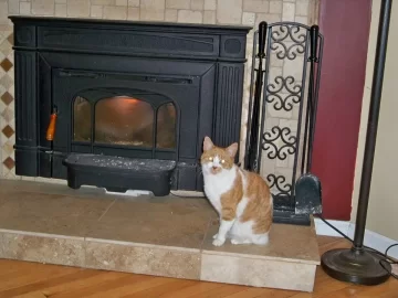 [Hearth.com] Is this too soon to engage the cat on my insert