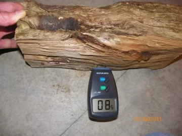 [Hearth.com] Sure it can....................