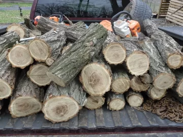 [Hearth.com] Black Locust Today, Cherry Tomorrow