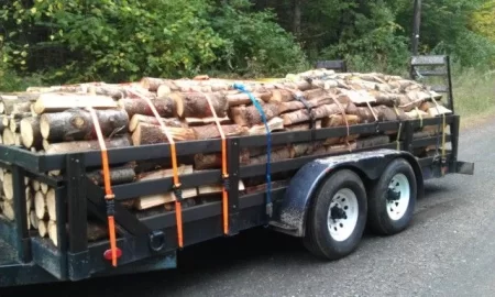 [Hearth.com] Another trailer load!
