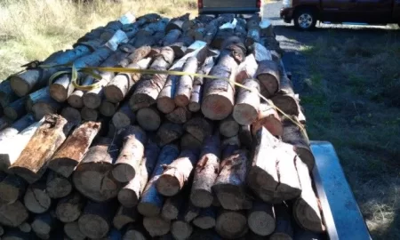 [Hearth.com] Another trailer load!