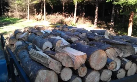 [Hearth.com] Another trailer load!
