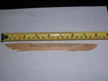 [Hearth.com] Strange items found in pellet bags!