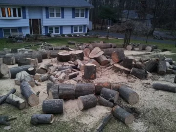 [Hearth.com] NC13 chow all free (pic).