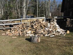 Putting up wood for 2015/2016 - nice score w/pics